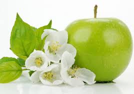 Những loại củ quả không nên để trong tủ lạnh ảnh minh họa