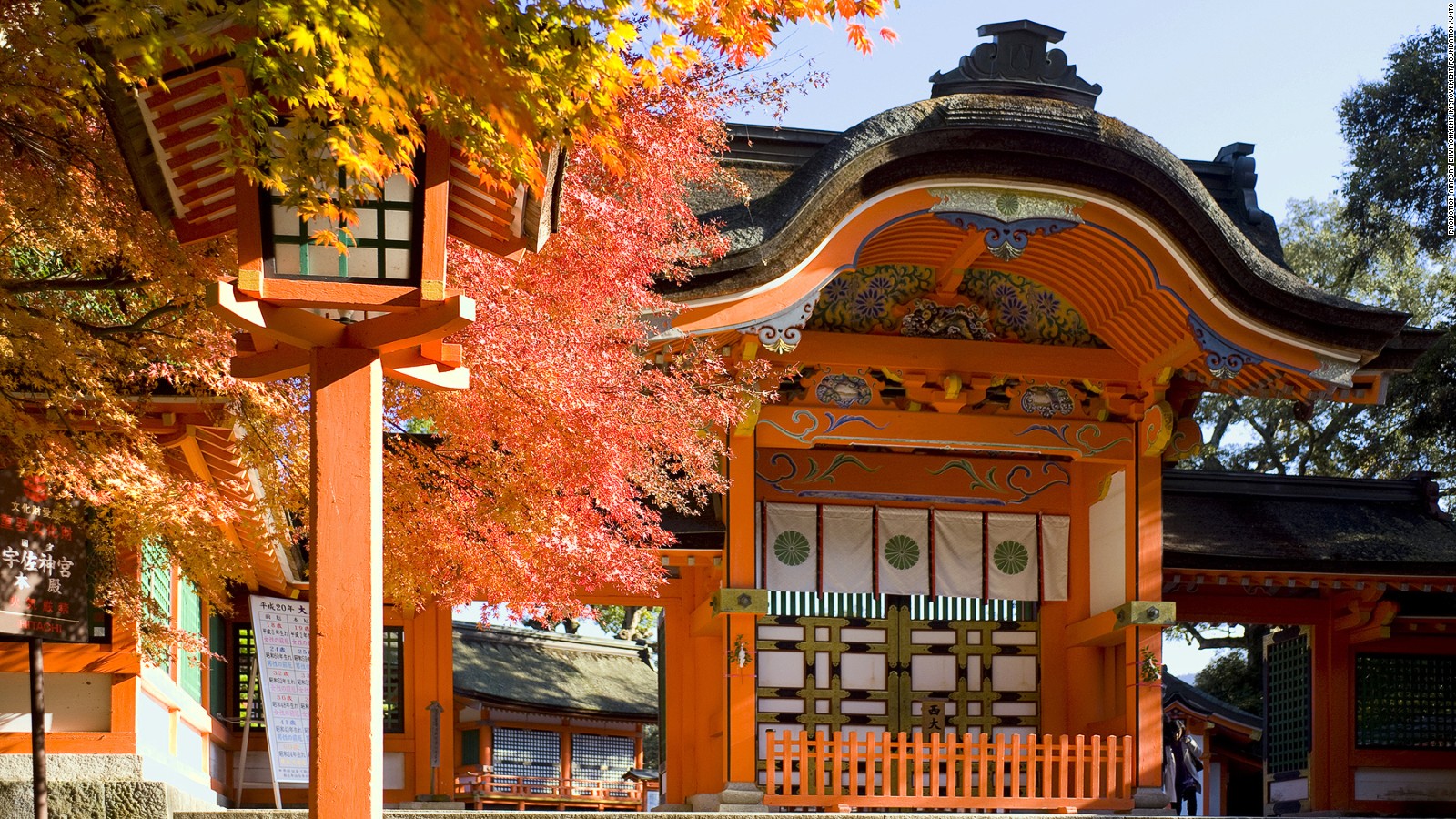 canh-dep-nhat-ban-15