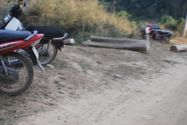 Nghệ An: Rừng chưa được bình yên