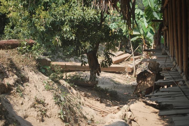 Nghệ An: Rừng chưa bình yên