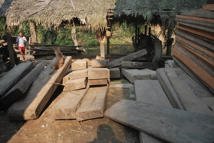 Nghệ An: Rừng chưa được bình yên