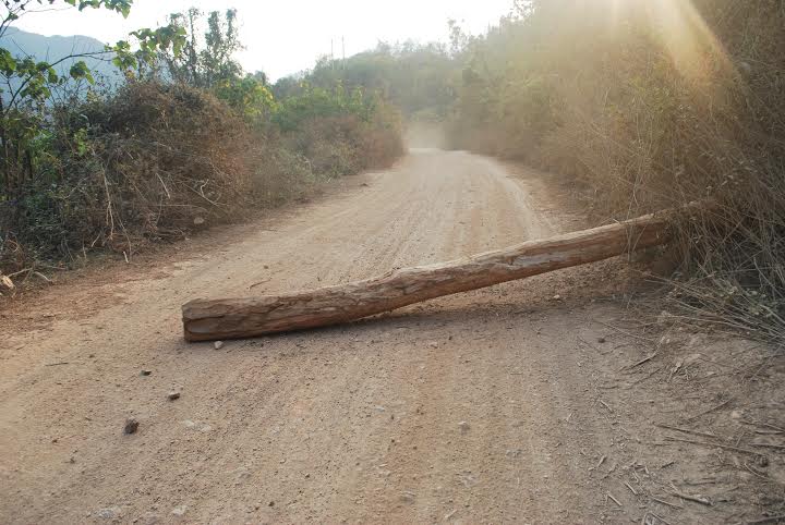 Nghệ An: Rừng chưa được bình yên