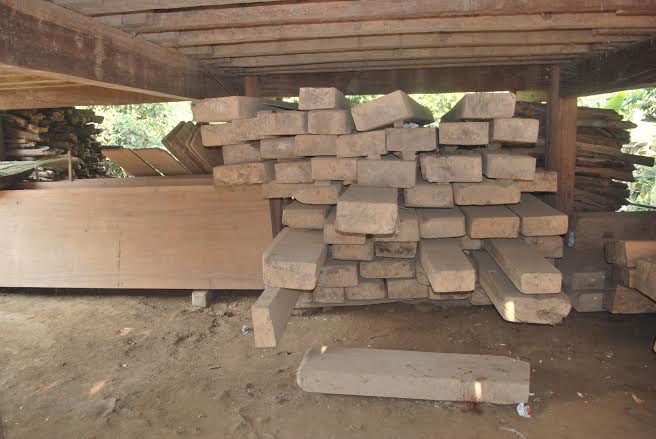 Nghệ An: Rừng chưa bình yên