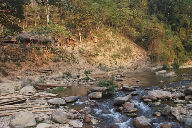 Nghệ An: Rừng chưa được bình yên