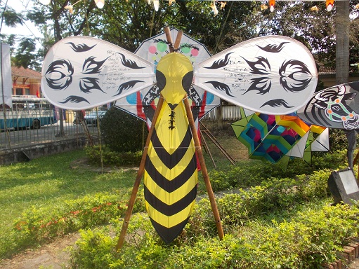 Độc đáo: “Những cánh bay Việt Nam”