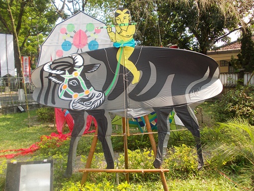 Độc đáo: “Những cánh bay Việt Nam”