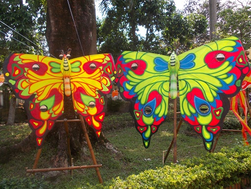 Độc đáo: “Những cánh bay Việt Nam”