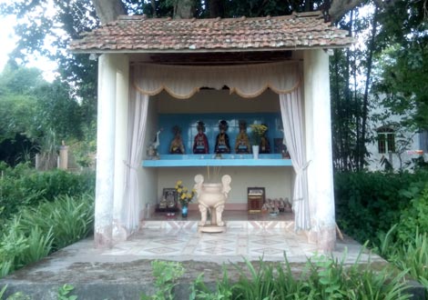 Bí ẩn cặp rắn khổng lồ bò vào chùa nghe tụng kinh, gõ mõ Bí ẩn cặp rắn khổng lồ bò vào chùa nghe tụng kinh, gõ mõ