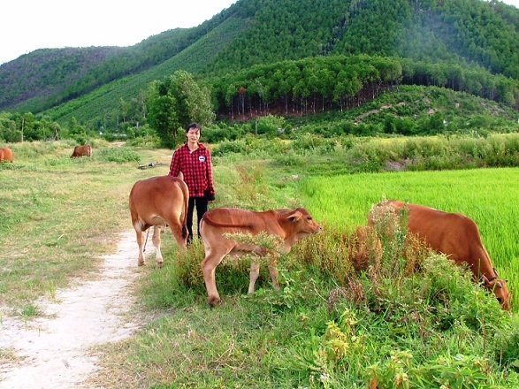 Cô bé bị suy thận từ chối tuyển thẳng đại học
