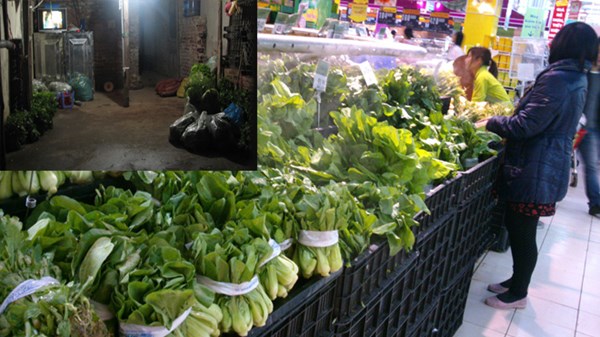 Đường dây tuồn rau không nguồn gốc vào siêu thị lớn
