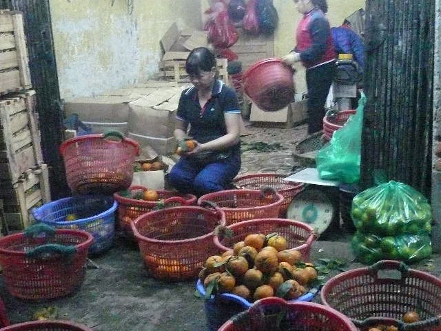 Kỹ nghệ “hồi sinh” hoa quả thối Kỹ nghệ “hồi sinh” hoa quả thối