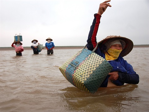 Về nơi đàn bà được ví như loài cò