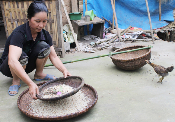 Mùa săn trứng kiến