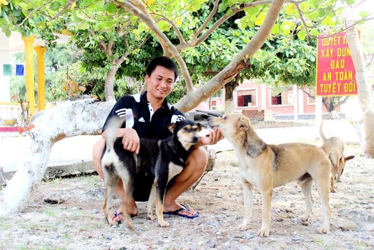 Chùm ảnh: Sức sống mãnh liệt trên đảo Song Tử Tây