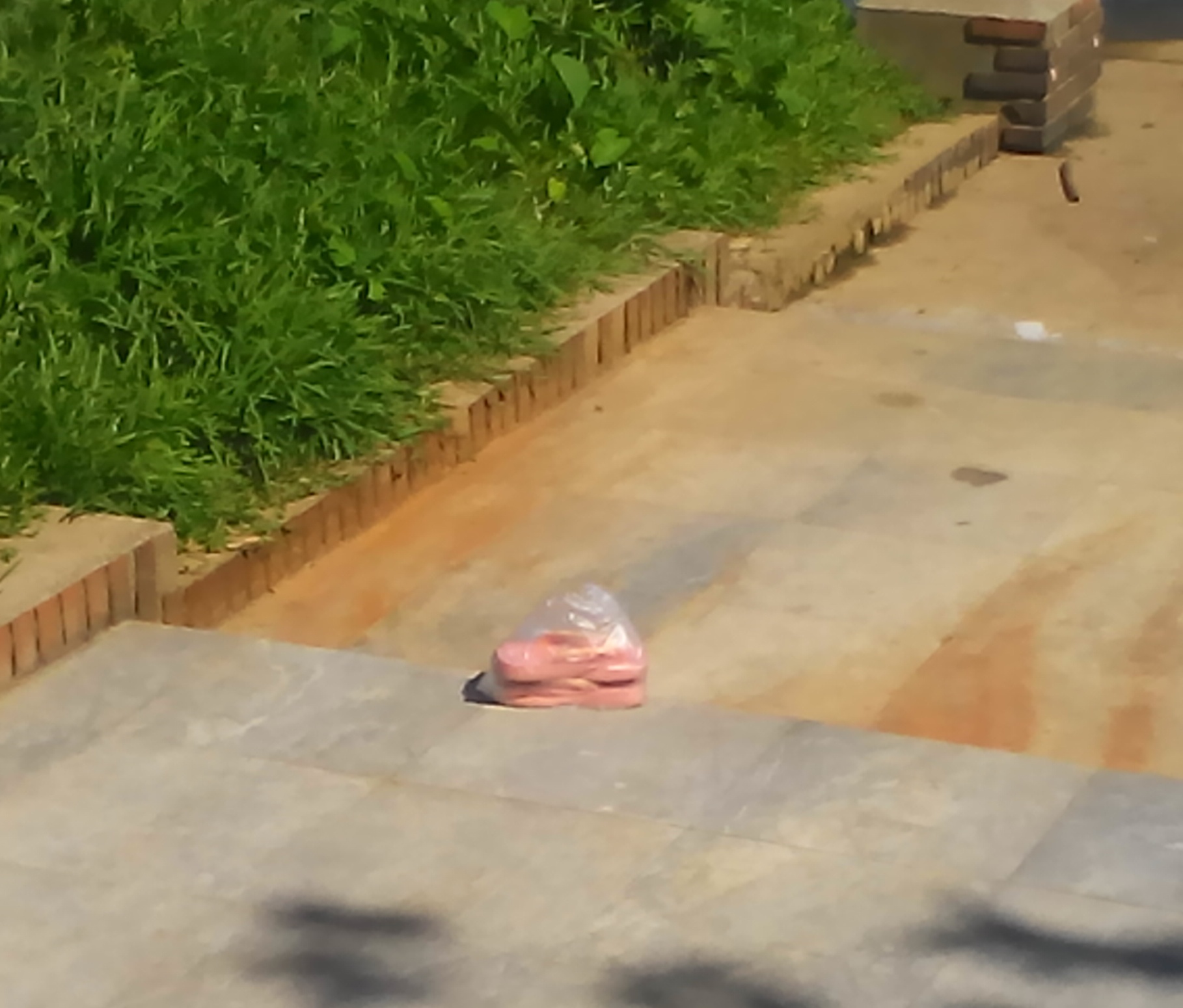 Huế: Phát hiện cụ bà chết trôi trên sông Hương