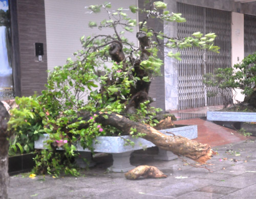 Bão Thần Sấm quét Móng Cái, đường phố chìm trong đổ nát