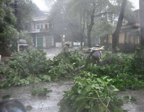 Bão Thần Sấm quét Móng Cái, đường phố chìm trong đổ nát