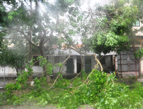 Bão Thần Sấm quét Móng Cái, đường phố chìm trong đổ nát