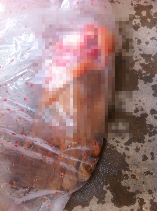 Để quên bàn chân người dính đầy máu trên xe khách