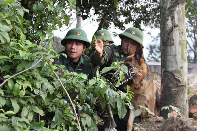 Loạt ảnh đặc biệt lính biên phòng tuần tra cùng chó nghiệp vụ