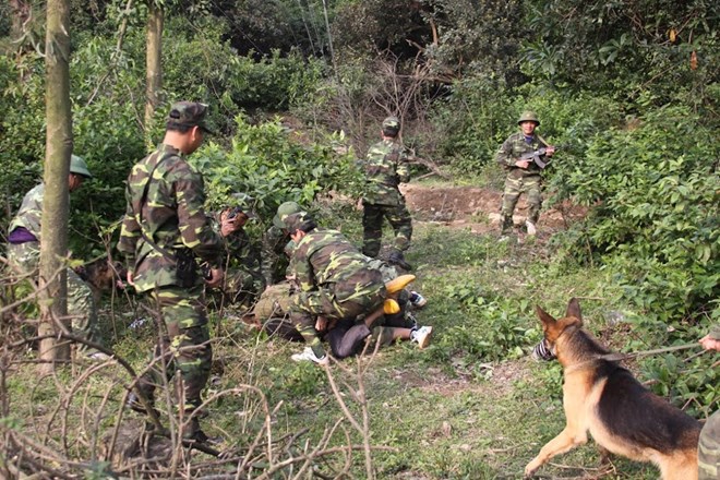 Loạt ảnh đặc biệt lính biên phòng tuần tra cùng chó nghiệp vụ
