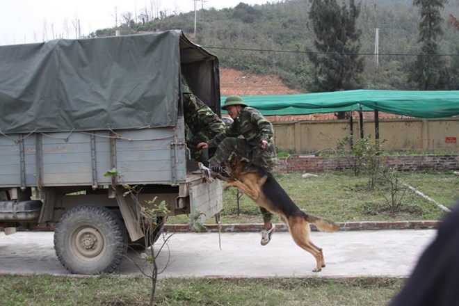 Loạt ảnh đặc biệt lính biên phòng tuần tra cùng chó nghiệp vụ