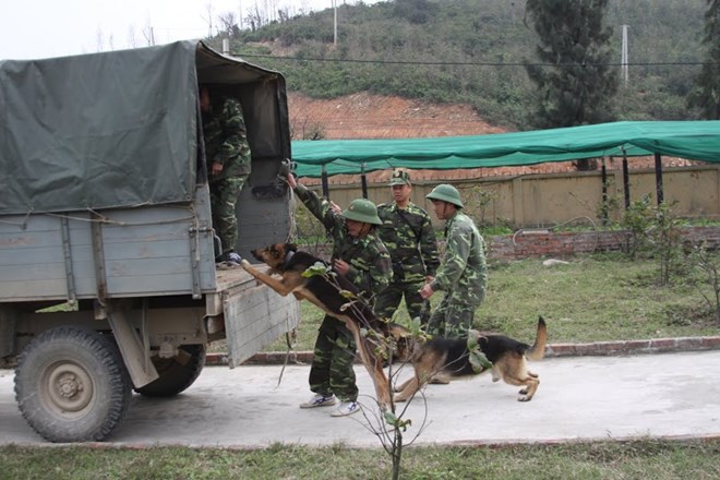Loạt ảnh đặc biệt lính biên phòng tuần tra cùng chó nghiệp vụ