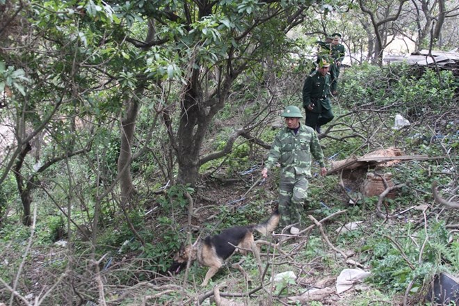 Loạt ảnh đặc biệt lính biên phòng tuần tra cùng chó nghiệp vụ