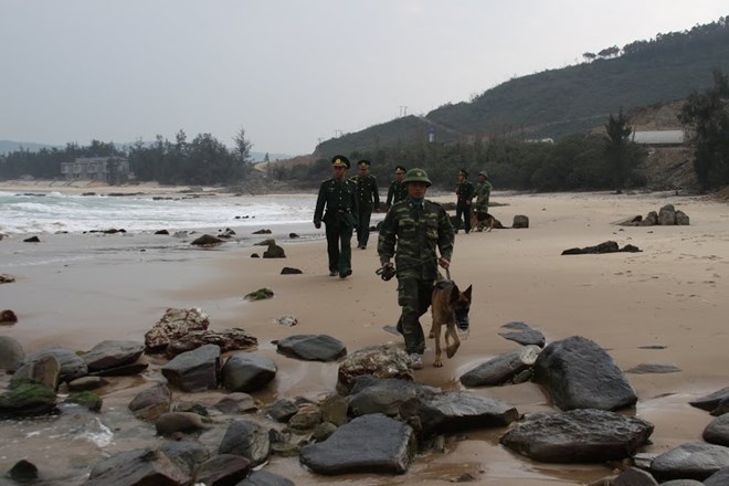 Loạt ảnh đặc biệt lính biên phòng tuần tra cùng chó nghiệp vụ