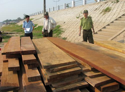 Chặn đứng vụ nhập lậu gỗ trên sông Tiền Chặn đứng vụ nhập lậu gỗ trên sông Tiền