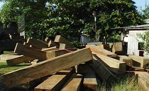 Thu giữ 17m3 gỗ trái phép trên địa bàn Quảng Nam