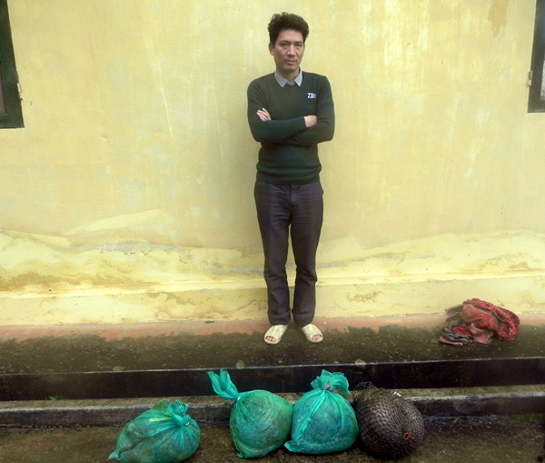 Bắt giữ vụ vận chuyển 4 cá thể tê tê qua biên giới phía Bắc