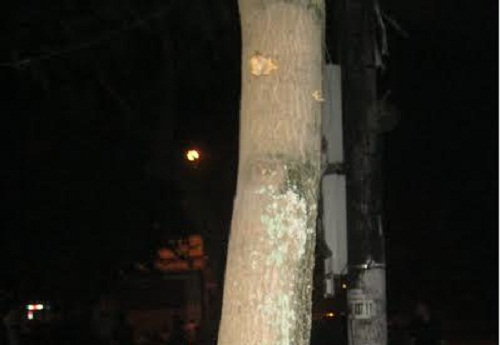 Chồng nạn nhân dùng súng K54 để đuổi theo đối tượng bắn vợ