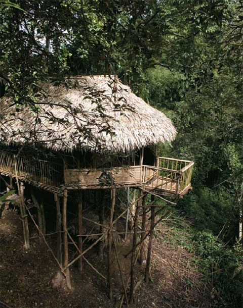 Ngôi làng sạch nhất thế giới - Nơi phụ nữ làm chủ