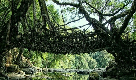 Ngôi làng sạch nhất thế giới - Nơi phụ nữ làm chủ