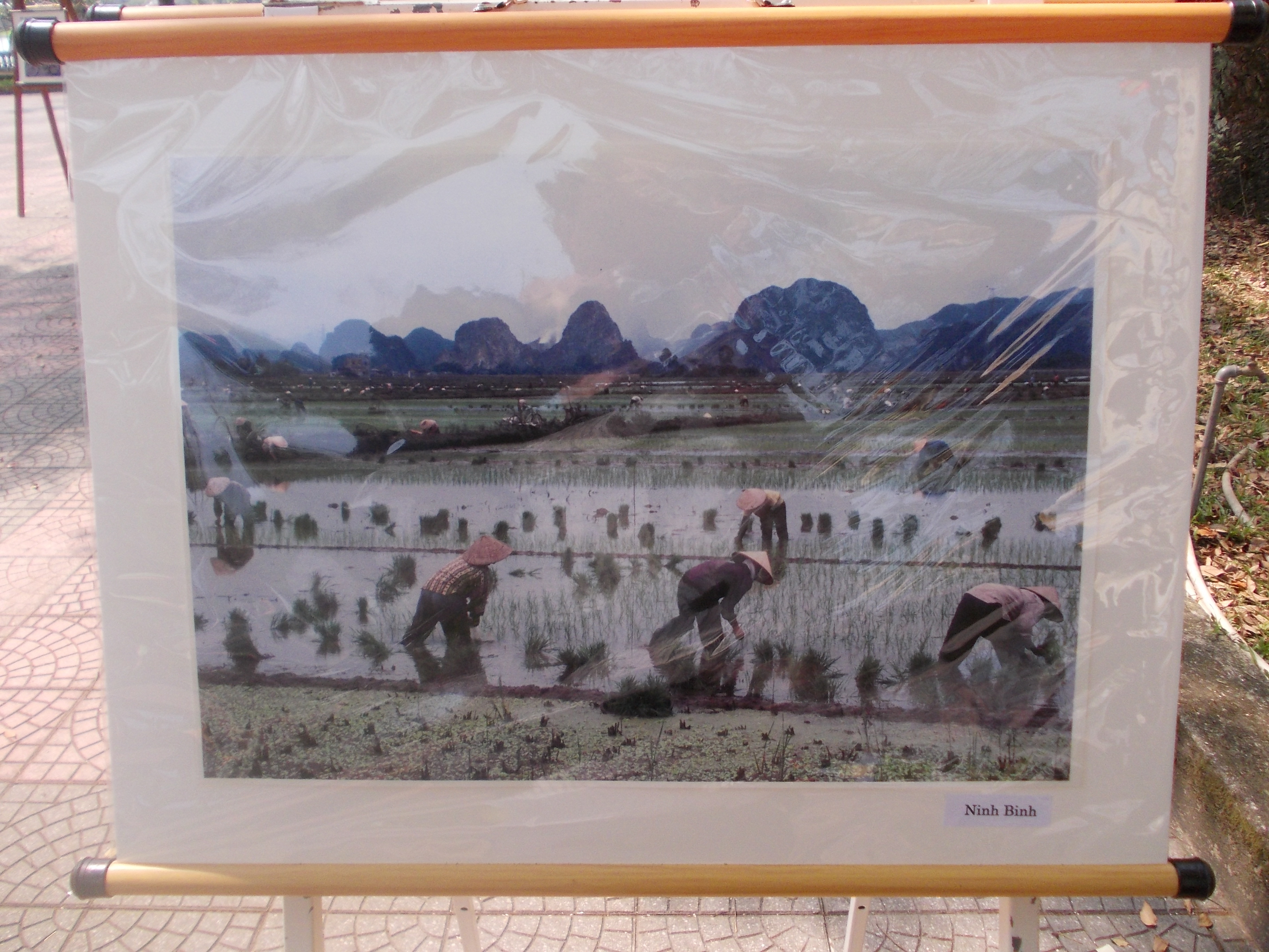 Lặng ngắm niềm vui của người lao động Việt qua ống kính của nhiếp