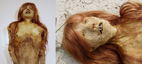 Thực hư quái vật người cá được rao bán giá cả nghìn USD Thực hư quái vật người cá được rao bán giá cả nghìn USD