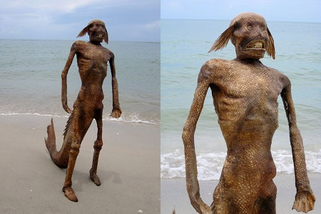 Thực hư quái vật người cá được rao bán giá cả nghìn USD Thực hư quái vật người cá được rao bán giá cả nghìn USD