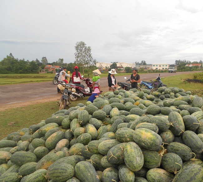 Sốc với tấm ảnh người đàn ông bật khóc