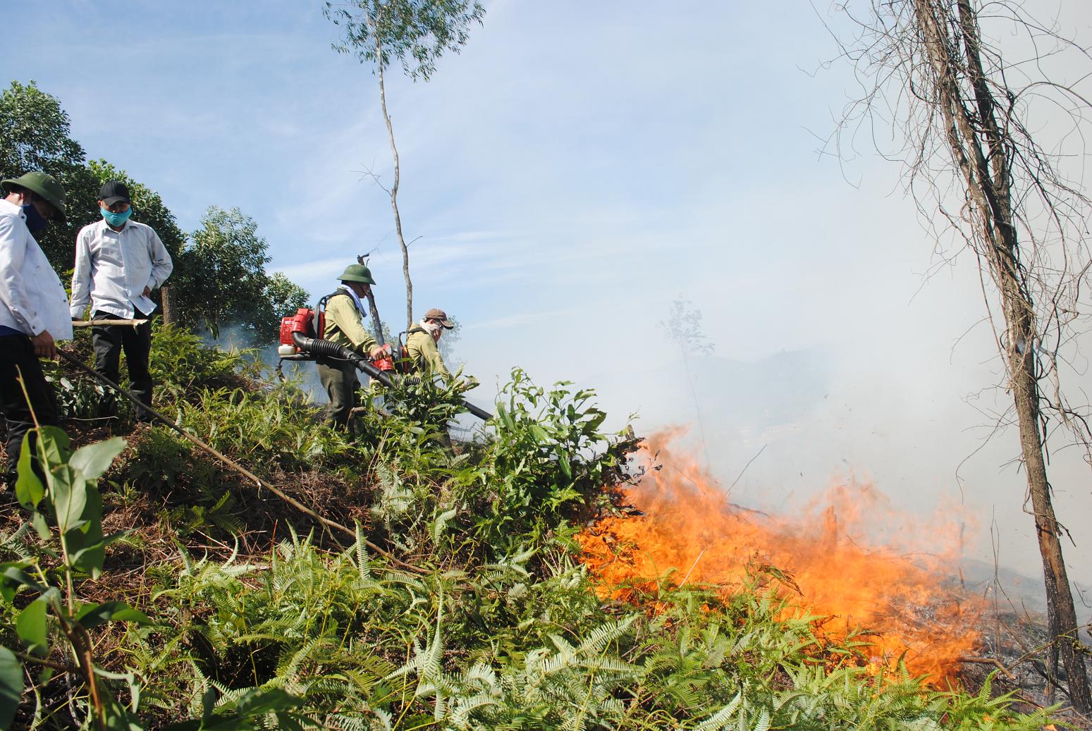 Trực tiếp: Cháy rừng tại Vũ Quang – Hà Tĩnh