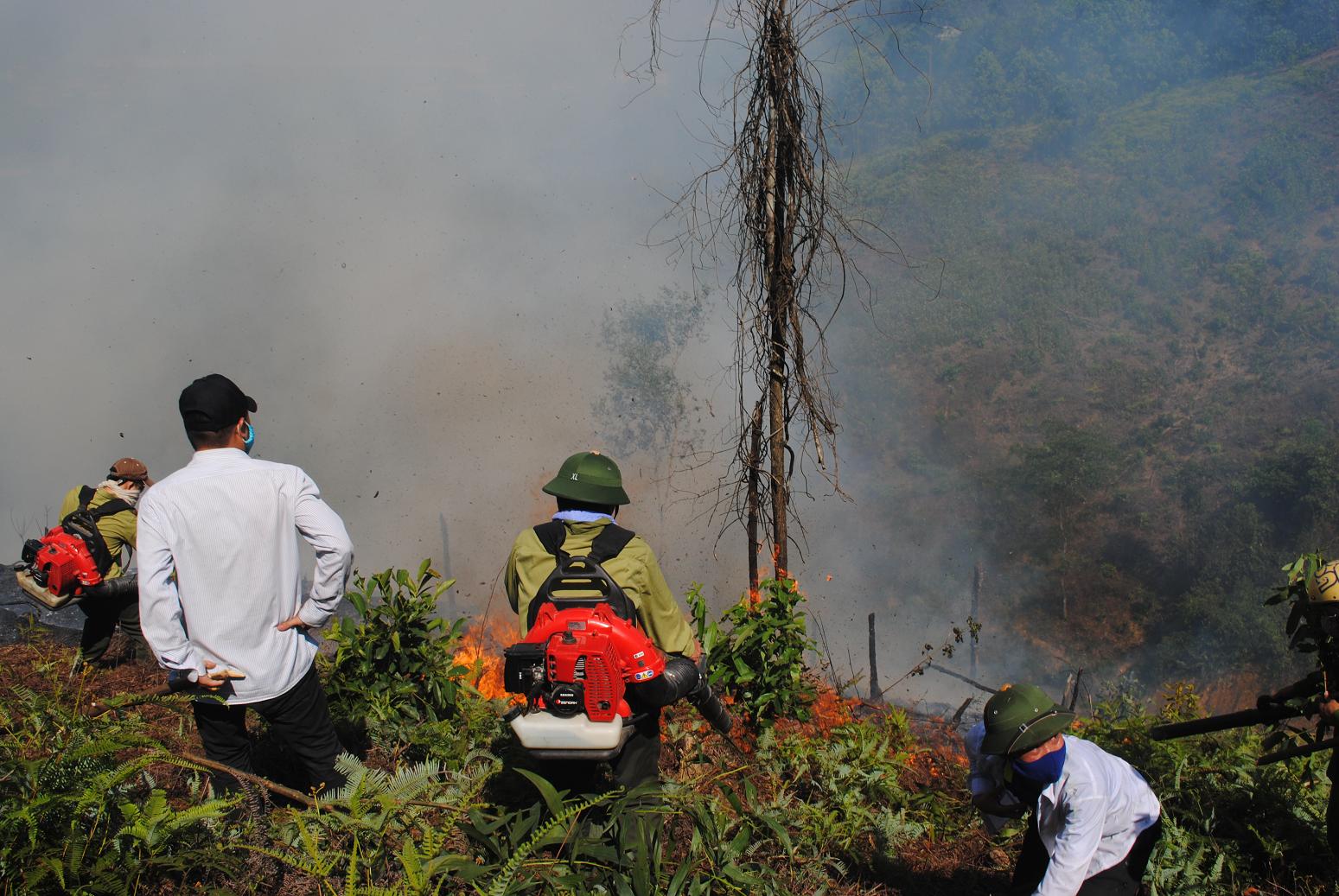 Trực tiếp: Cháy rừng tại Vũ Quang – Hà Tĩnh