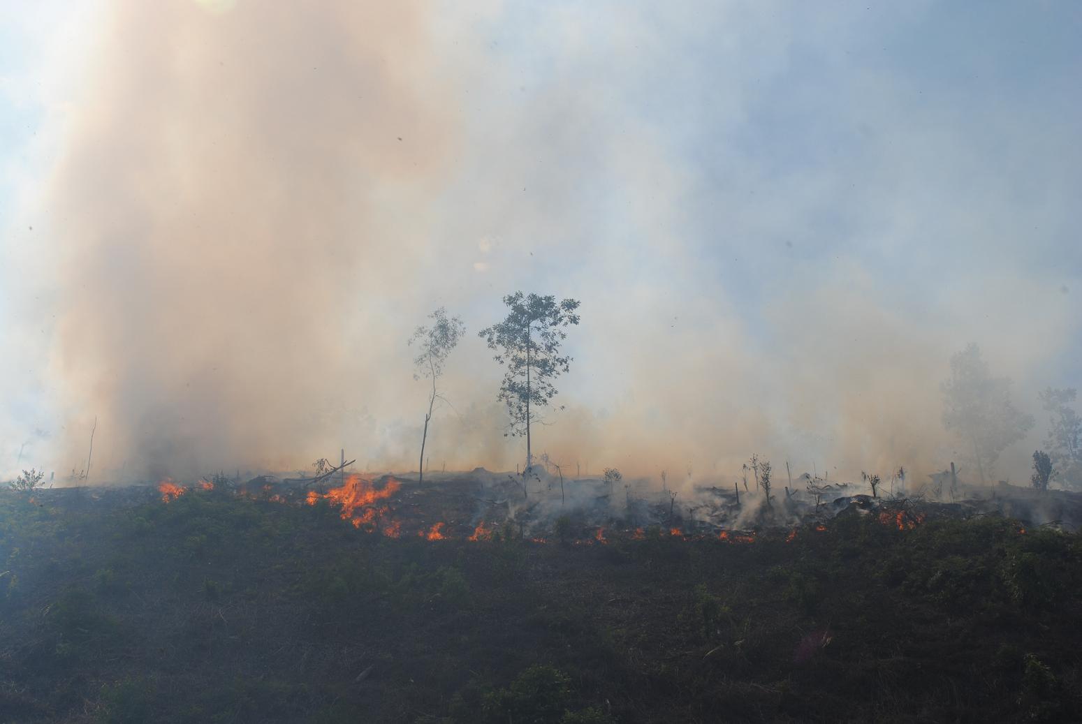 Trực tiếp: Cháy rừng tại Vũ Quang – Hà Tĩnh