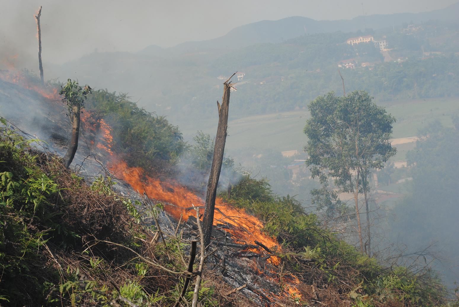 Trực tiếp: Cháy rừng tại Vũ Quang – Hà Tĩnh