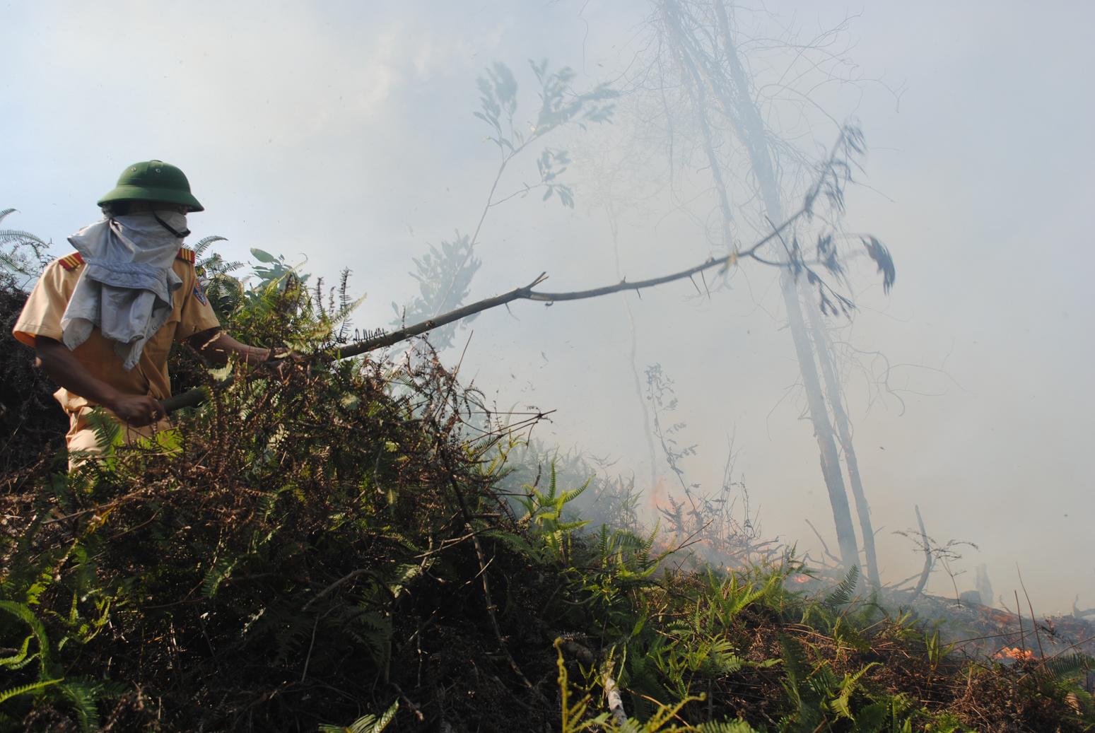 Trực tiếp: Cháy rừng tại Vũ Quang – Hà Tĩnh
