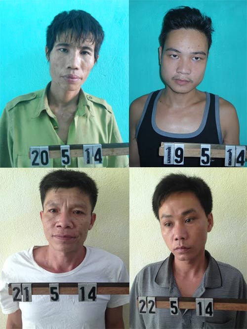 Thanh Hóa: Phát hiện đường dây buôn bán ma túy từ hành vi trộm bò