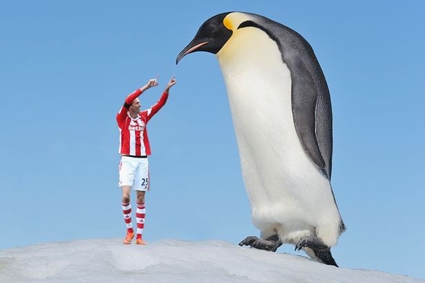 Phát hiện loài chim cánh cụt khổng lồ cao hơn người Phát hiện loài chim cánh cụt khổng lồ cao hơn người