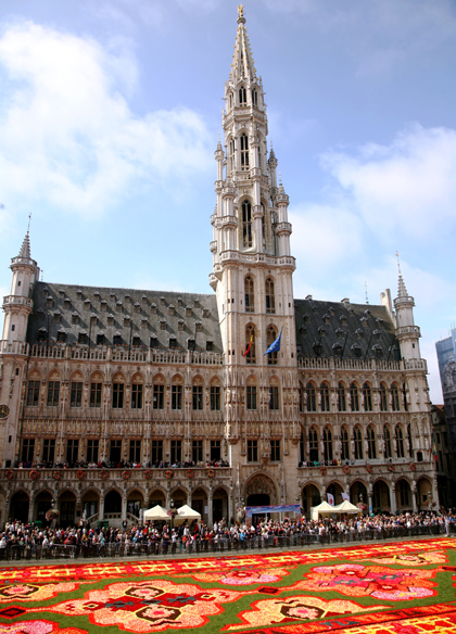 Thảm hoa lộng lẫy dệt từ 750.000 bông thu hải đường