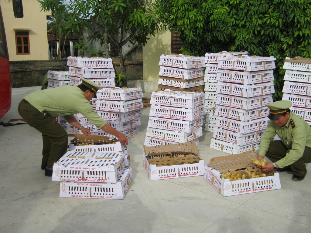 Bắt giữ xe khách chở gần 5 nghìn con gia cầm không rõ nguồn gốc Bắt giữ xe khách chở gần 5 nghìn con gia cầm không rõ nguồn gốc