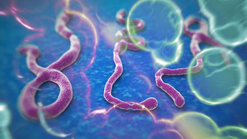 Nỗi ám ảnh khủng khiếp của bác sỹ ở tâm dịch Ebola
