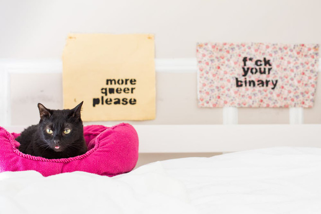 Căn hộ 30m² nhưng có cả góc thiền và khu vườn xanh mướt mắt của cặp đôi cá tính - Ảnh 13. Căn hộ 30m² nhưng có cả góc thiền và khu vườn xanh mướt mắt của cặp đôi cá tính - Ảnh 13.